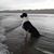 Petkeovilay Keovilay's profile image