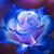 Iris Durell's profile image