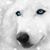 Kimberly Pratt's profile image