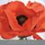 Linda Bogle Gunn's profile image