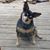 Donna Smith's profile image