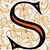 Steven Sammons's profile image
