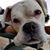 Lynda Taylor Chapman's profile image