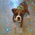 Hope C Bruner Harder's profile image