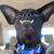 Derek Meier's profile image