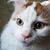 Elaine Warner Aukstikalnis's profile image
