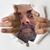 Matthew Sullivan's profile image