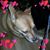 Steven Frashier's profile image