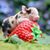 Zachary Dakery-Dock's profile image