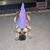 Becki Gossage's profile image