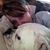 Ashlee VanFossen Sragovitz's profile image