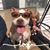 Julie Marchetti-Dailey's profile image