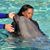 Tonya Lynn Scroggin's profile image