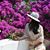 Huong Trang's profile image