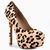 Debra Stewart's profile image