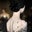 Michelle Mu's profile image