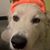 Ayako Howard's profile image