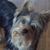 Jill Weber's profile image