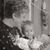 Bev Bebeau's profile image
