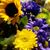 Bobbie-Jo Anderson's profile image