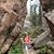 Jody Gottesman's profile image