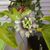 Anna Higgins's profile image