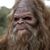 Tim Carter's profile image