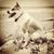 Jeff Fleming's profile image