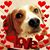 Christina Worrilow Lavin's profile image