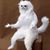 Christine Scaletti's profile image