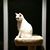 RuthAnn Jones's profile image