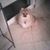 Peggy Hass Saul's profile image