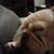 Kathy Wardell's profile image