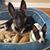 Tammy Whitlock's profile image