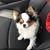 Dina McKibben's profile image
