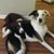 Jane Lennon's profile image