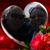 Tonya Humann Smallwood's profile image