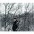 Rasim Alii's profile image