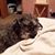 Lynn Hughes Pedersen's profile image