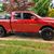 Carlie Scholer's profile image