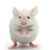 ChickenLittle Marshall's profile image