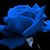 Jenny Gonzalez's profile image
