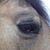 Patti Heinz's profile image