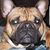 Rob Bowman's profile image