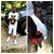 Kelly Kalonjay Ah'Monjay's profile image