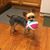 Linda Dorney's profile image
