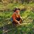 Nicolette Nees's profile image