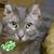 Eddie Mountain's profile image