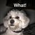 Robert Treacy's profile image
