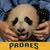 Mimi Coronel's profile image